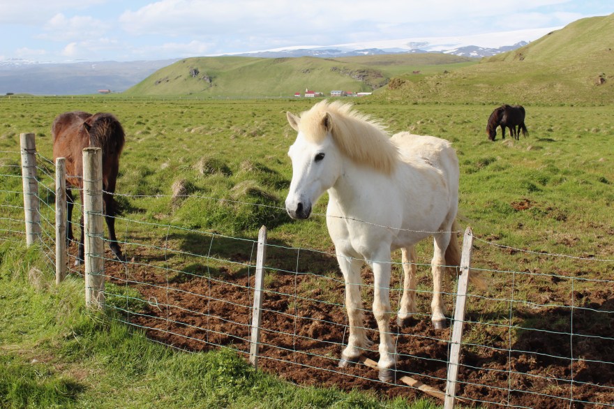 Processed with VSCO with m5 preset