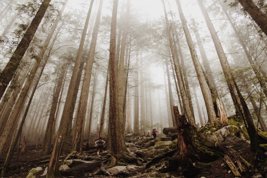 Processed with VSCO with m5 preset