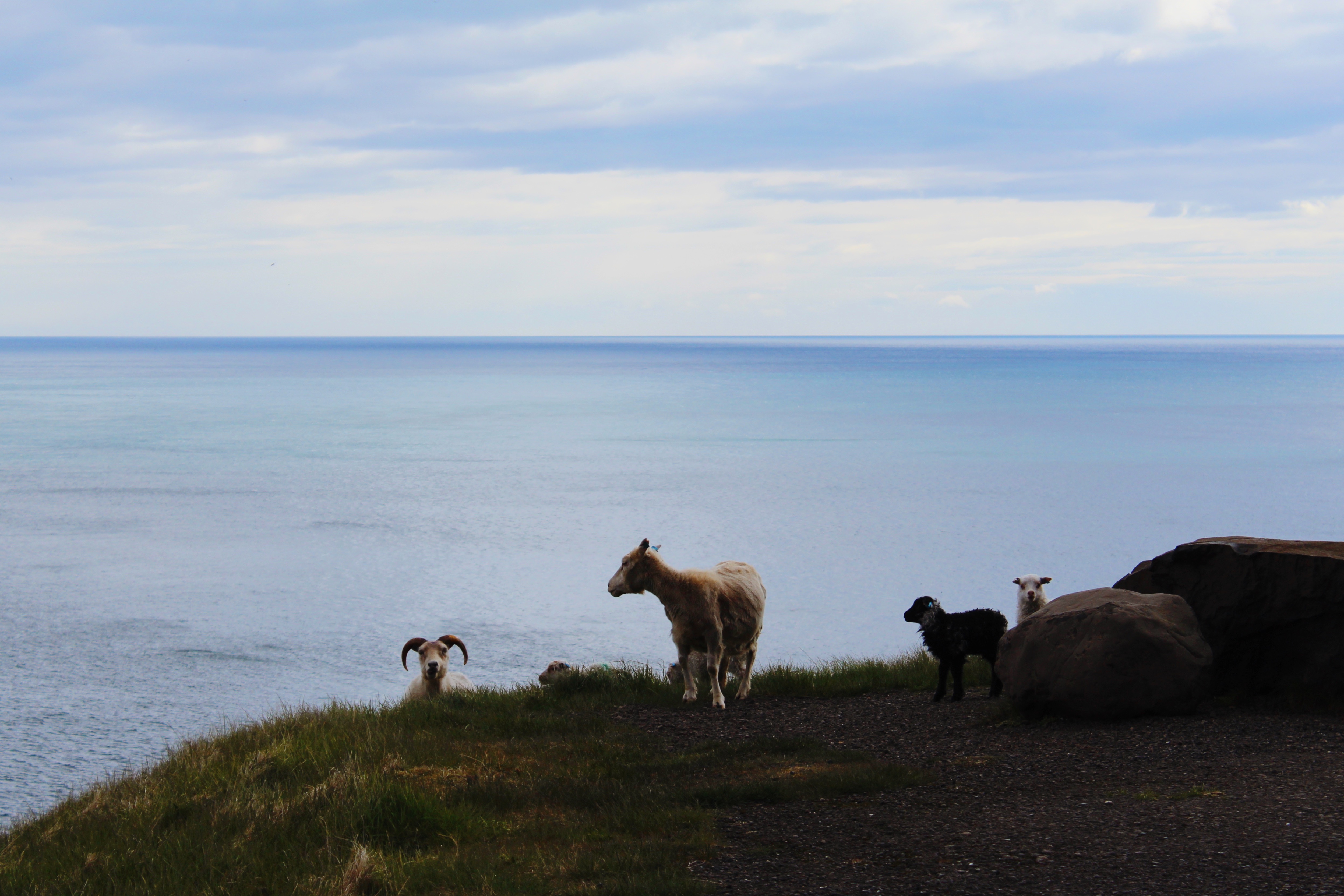 Processed with VSCO with m5 preset