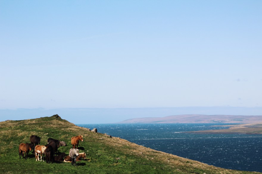 Processed with VSCO with g3 preset