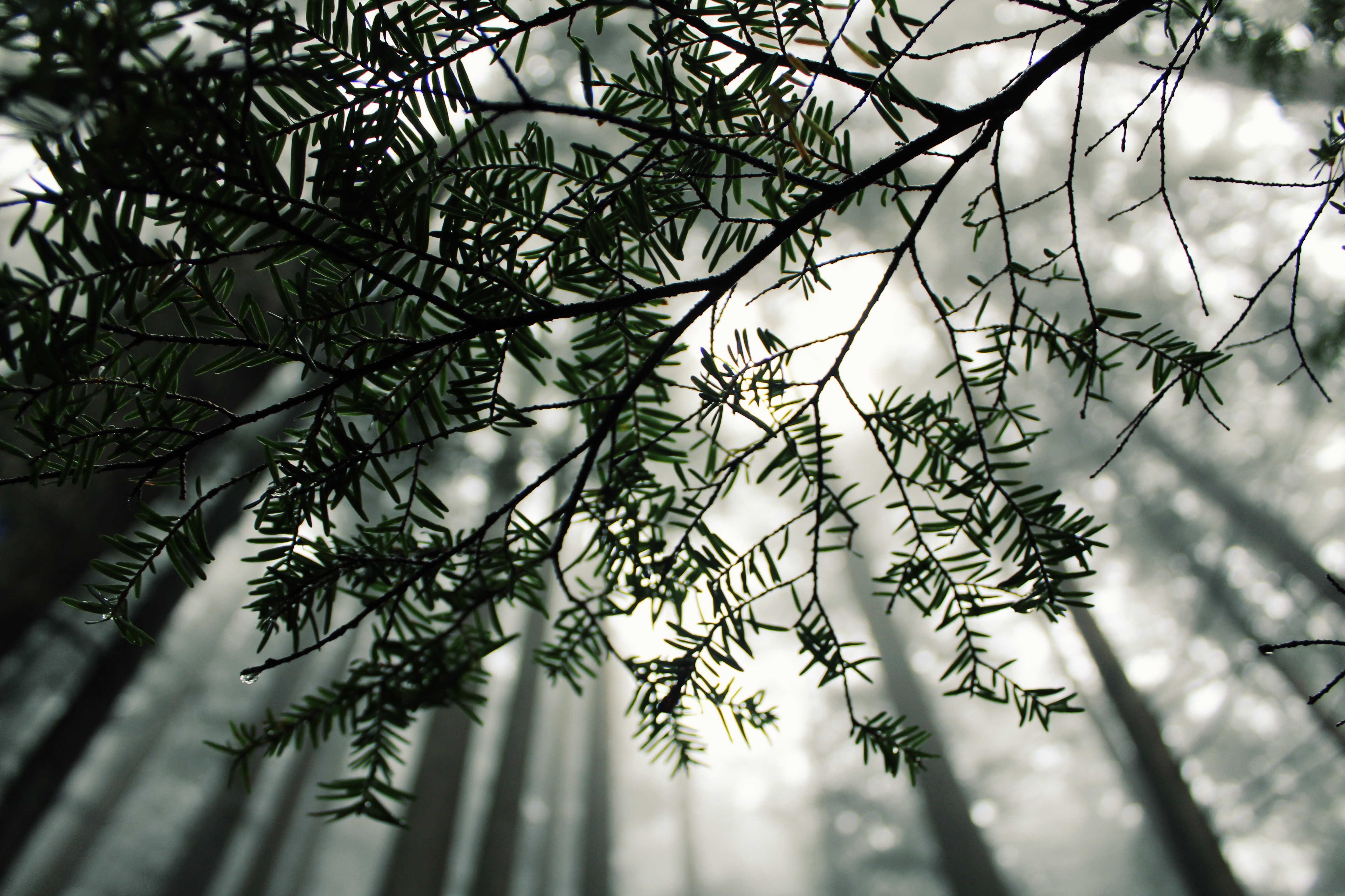 Processed with VSCO with g3 preset