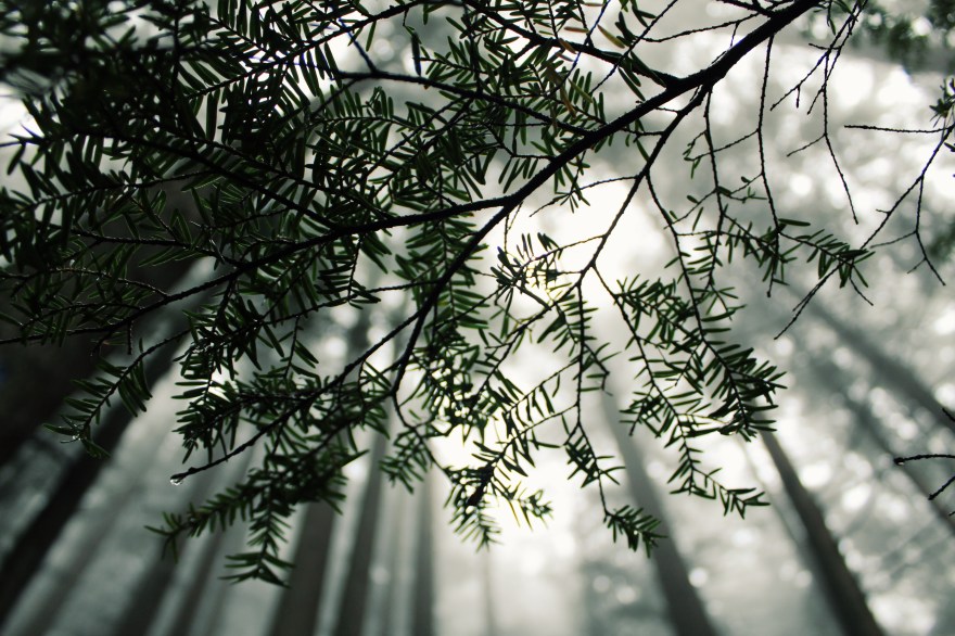 Processed with VSCO with g3 preset