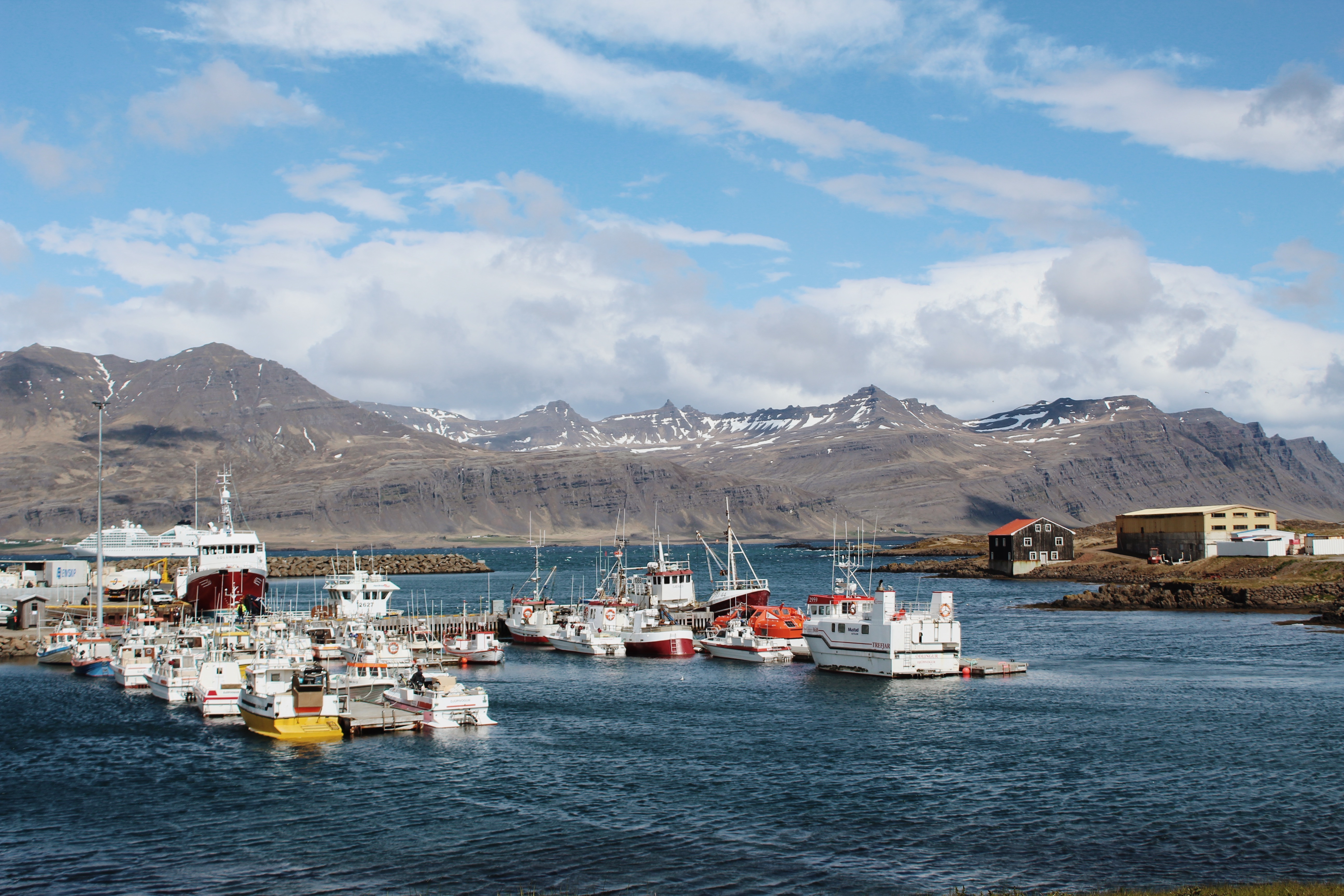 Processed with VSCO with m5 preset