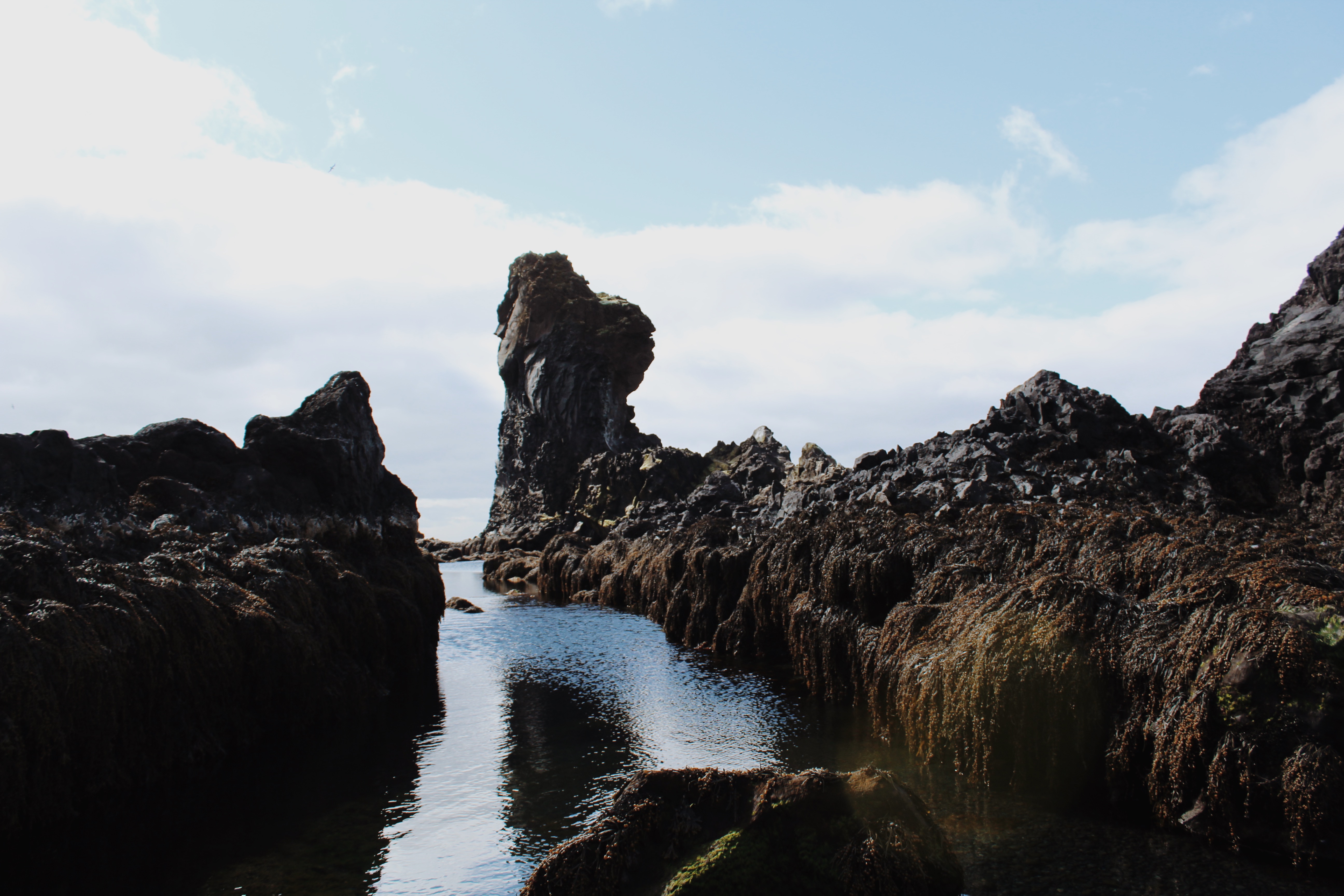 Processed with VSCO with m5 preset