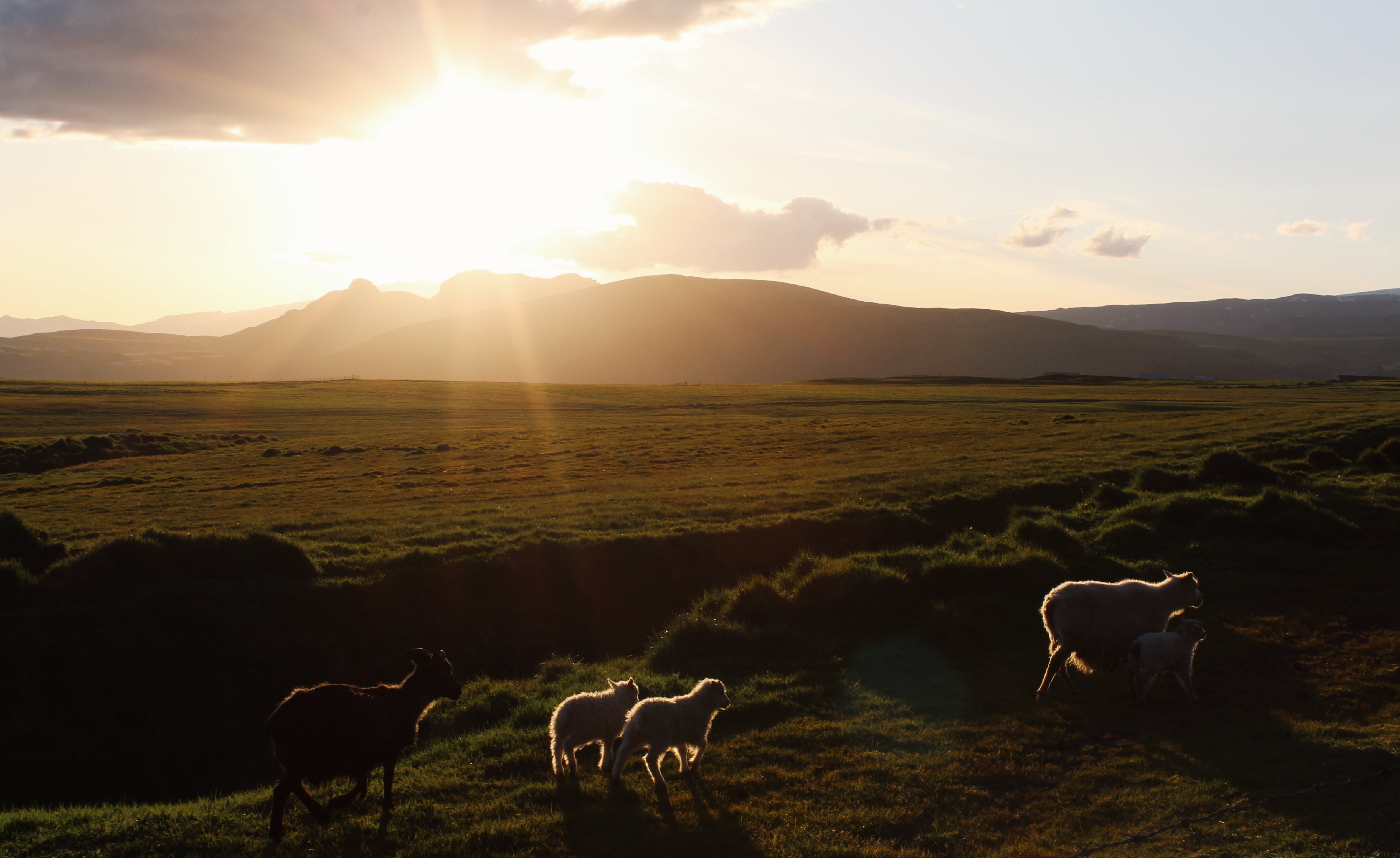 Processed with VSCO with g3 preset