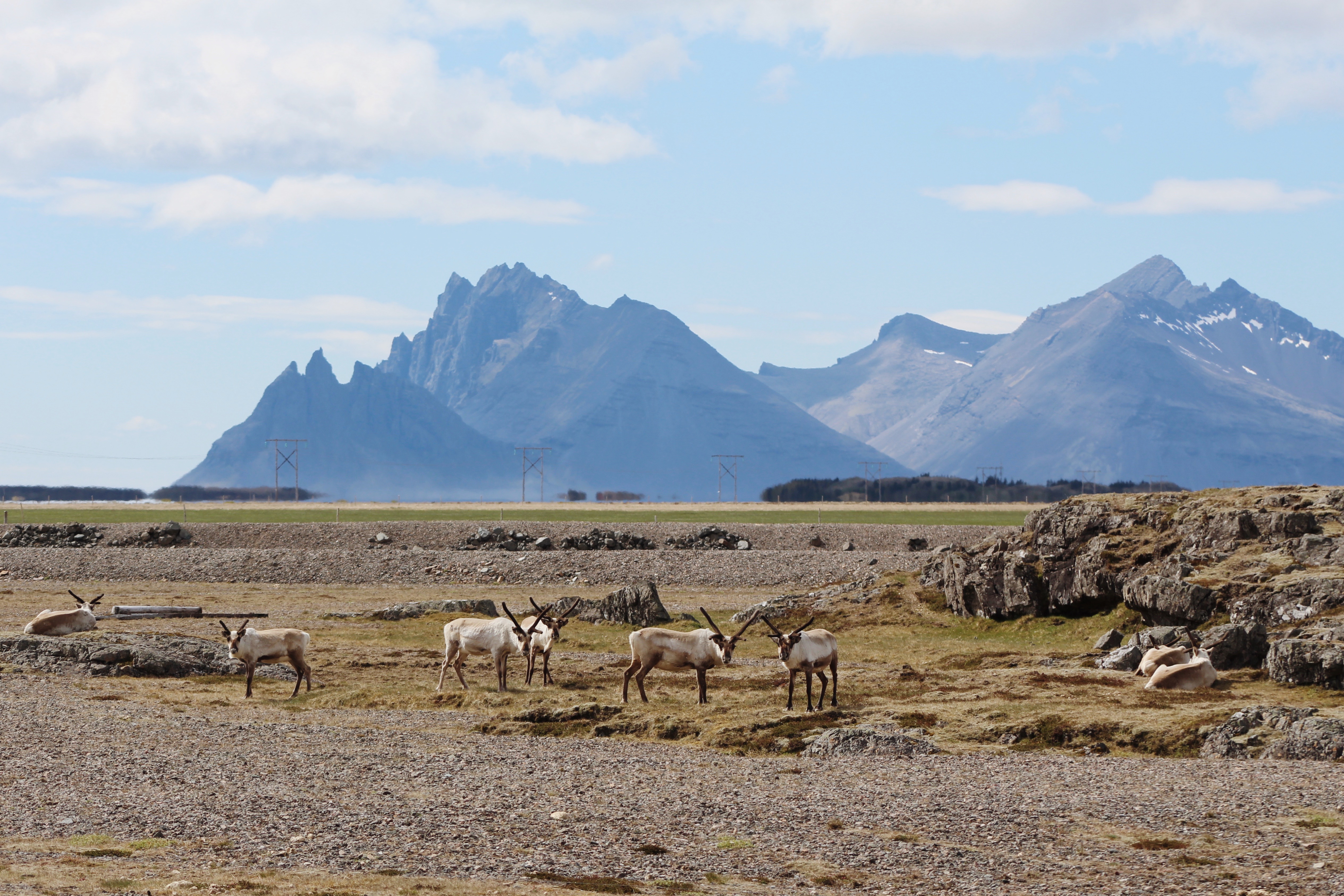 Processed with VSCO with m5 preset