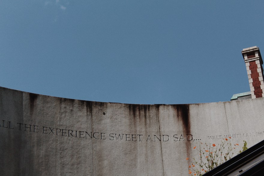 Processed with VSCO with m5 preset