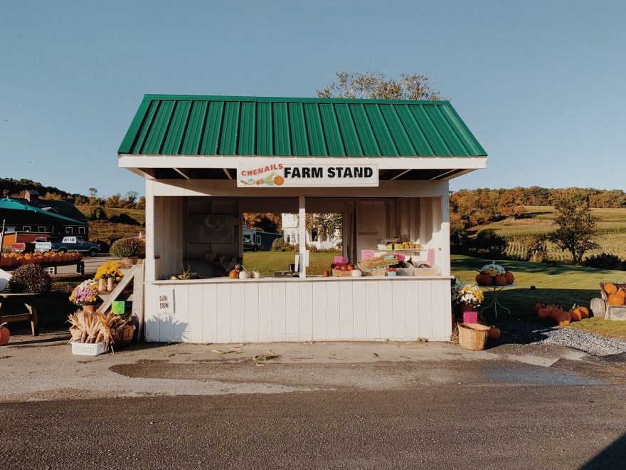 Processed with VSCO with m5 preset