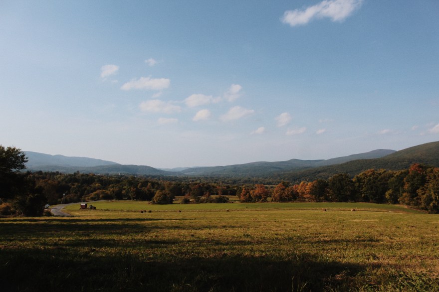 Processed with VSCO with m5 preset