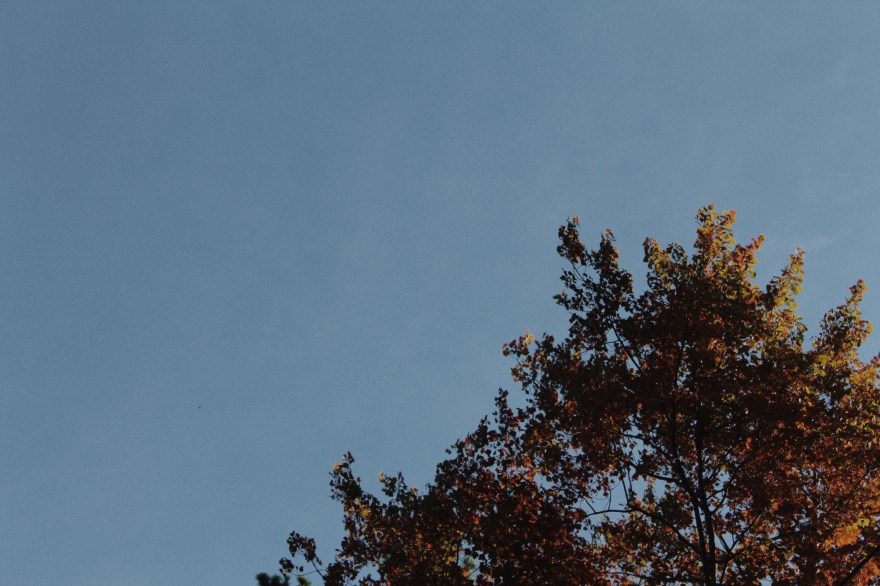 Processed with VSCO with m5 preset