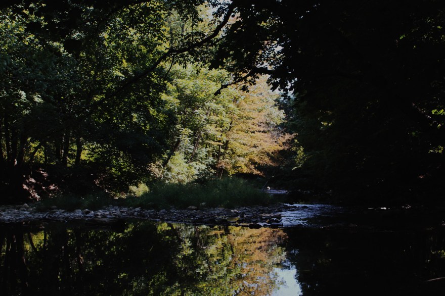 Processed with VSCO with m5 preset