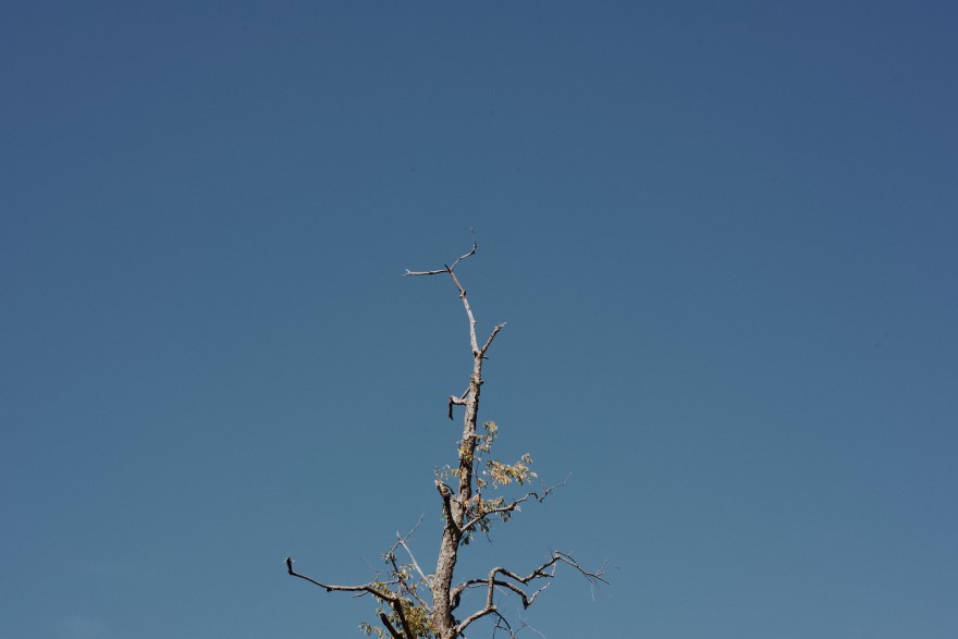 Processed with VSCO with m5 preset