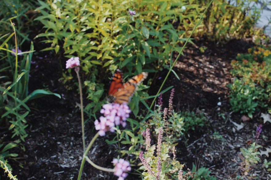 Processed with VSCO with m5 preset