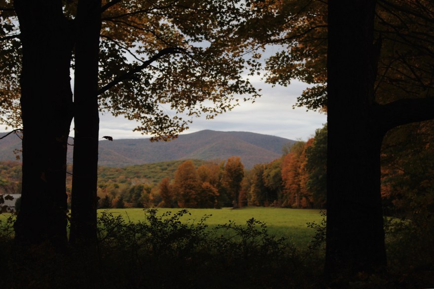 Processed with VSCO with m5 preset