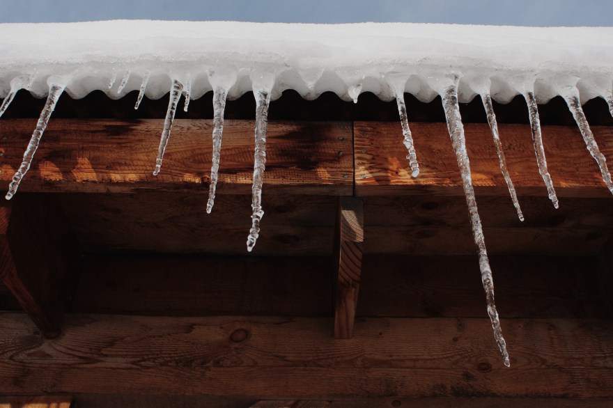 Processed with VSCO with m5 preset