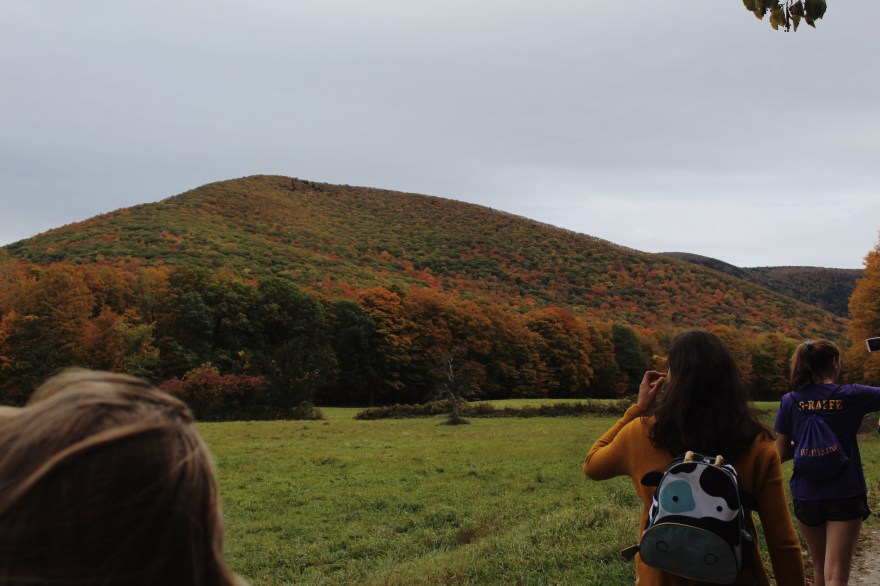 Processed with VSCO with m5 preset