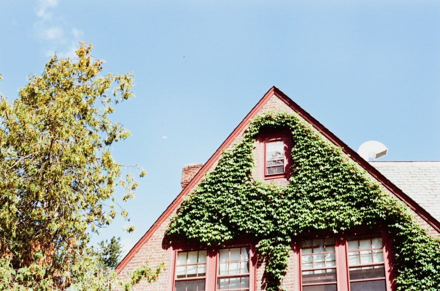 Processed with VSCO with m5 preset