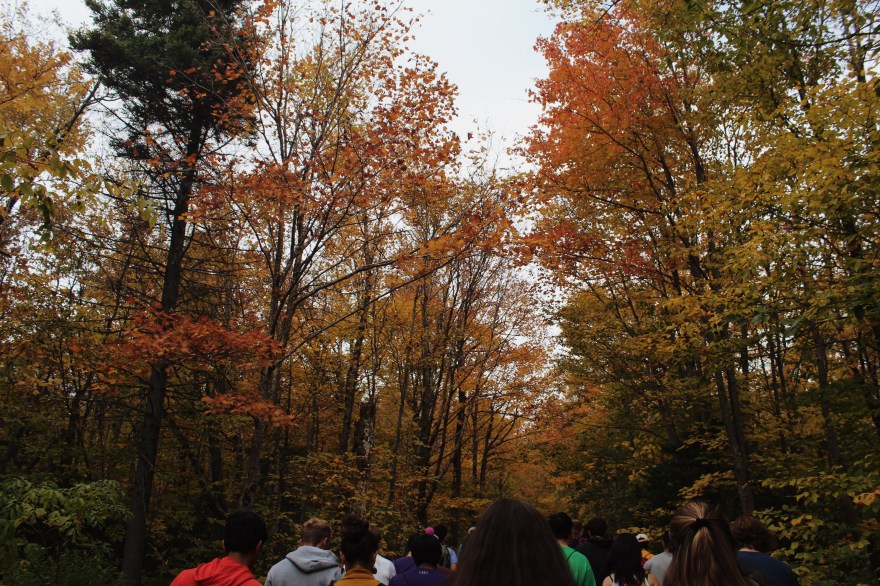 Processed with VSCO with m5 preset