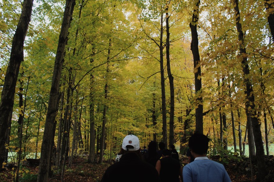 Processed with VSCO with m5 preset