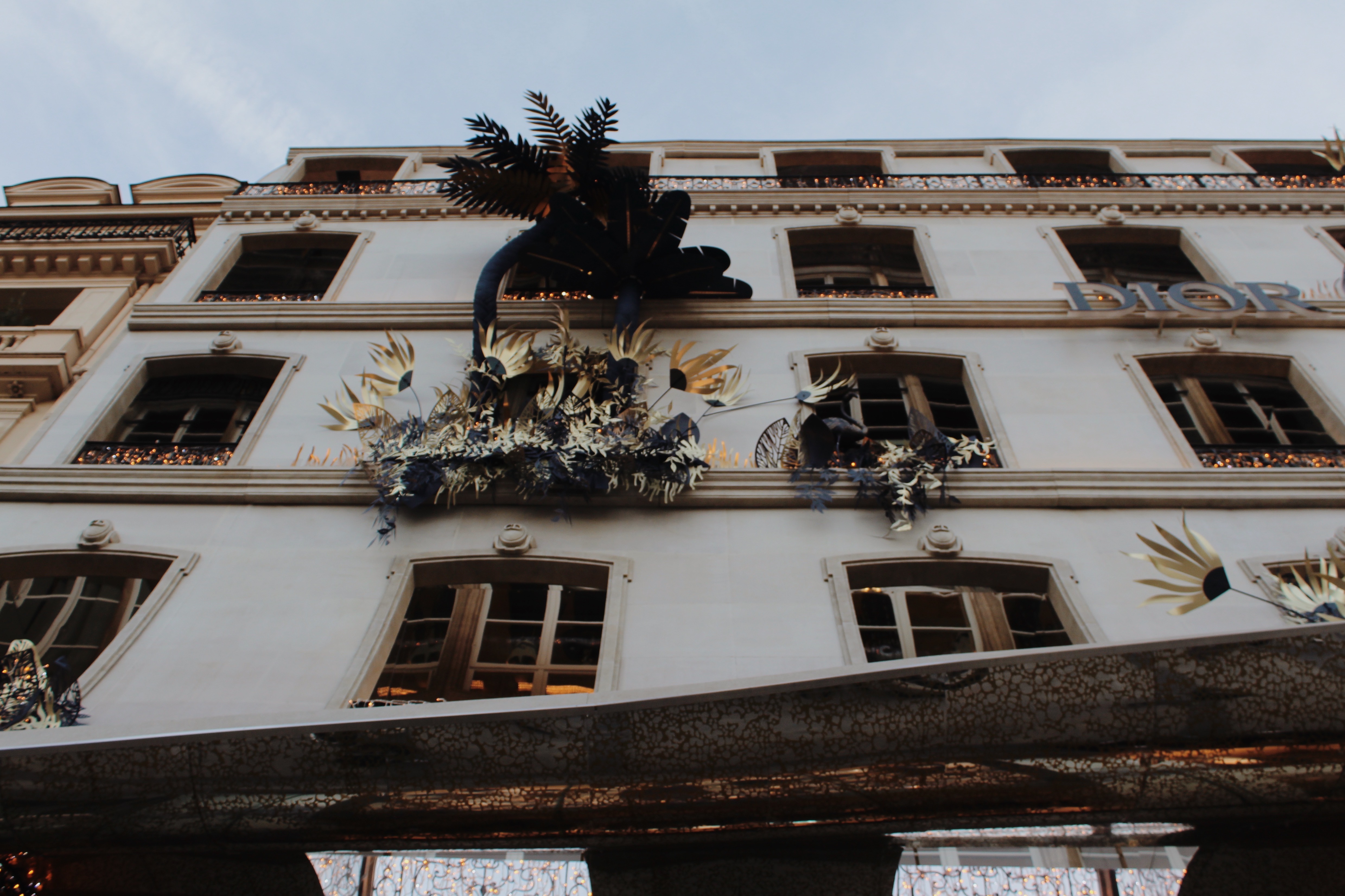 Processed with VSCO with m5 preset