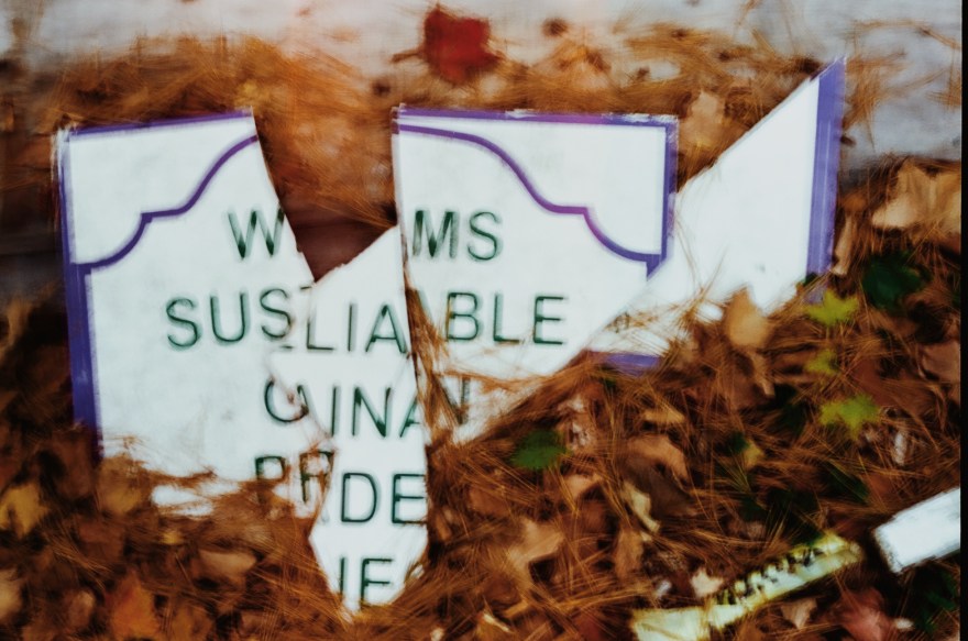 Processed with VSCO with m5 preset