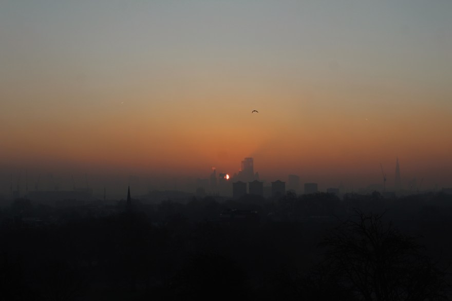 Processed with VSCO with m5 preset