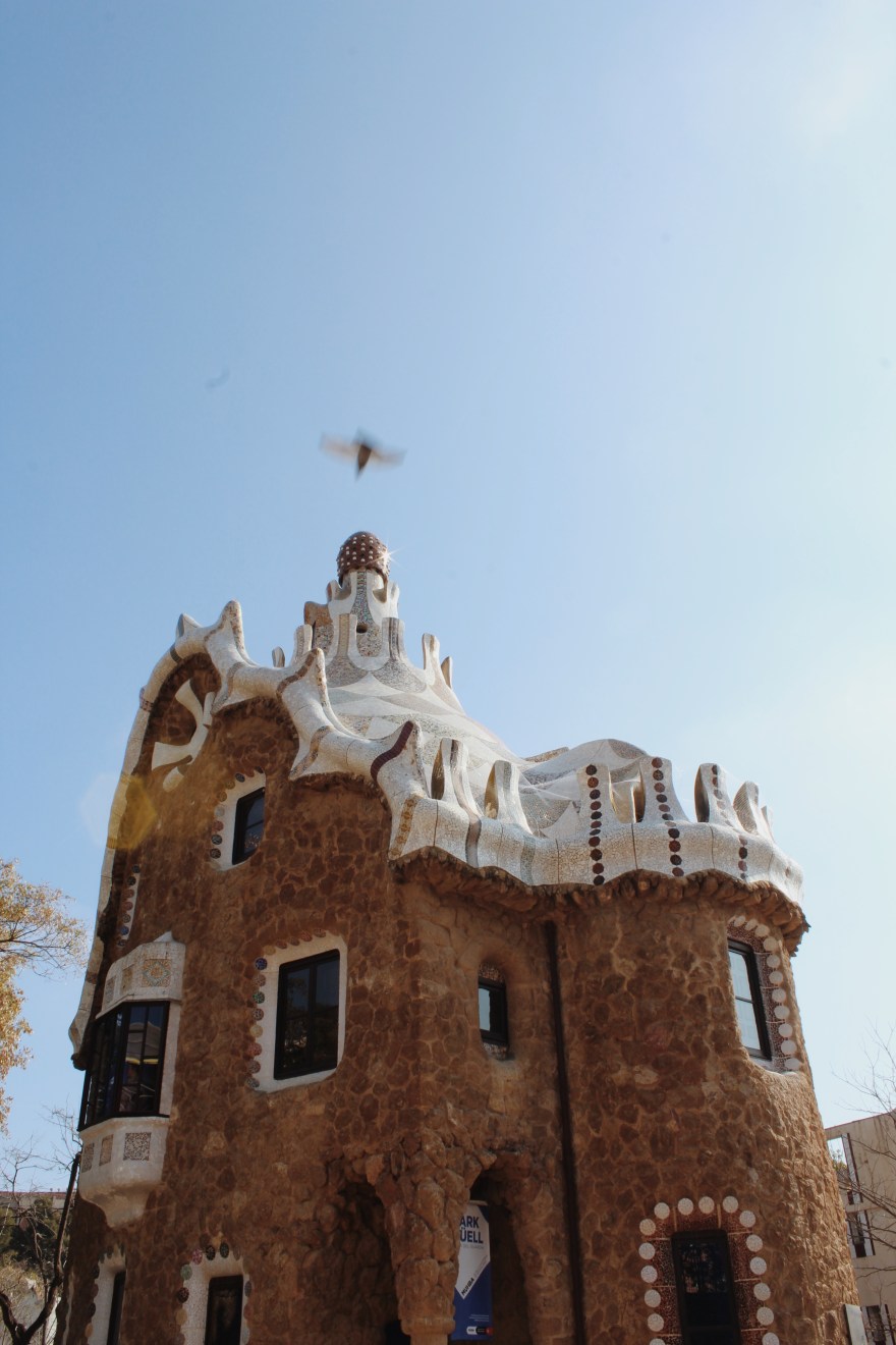 Processed with VSCO with m5 preset