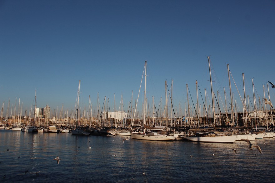 Processed with VSCO with m5 preset