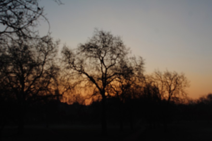 Processed with VSCO with m5 preset