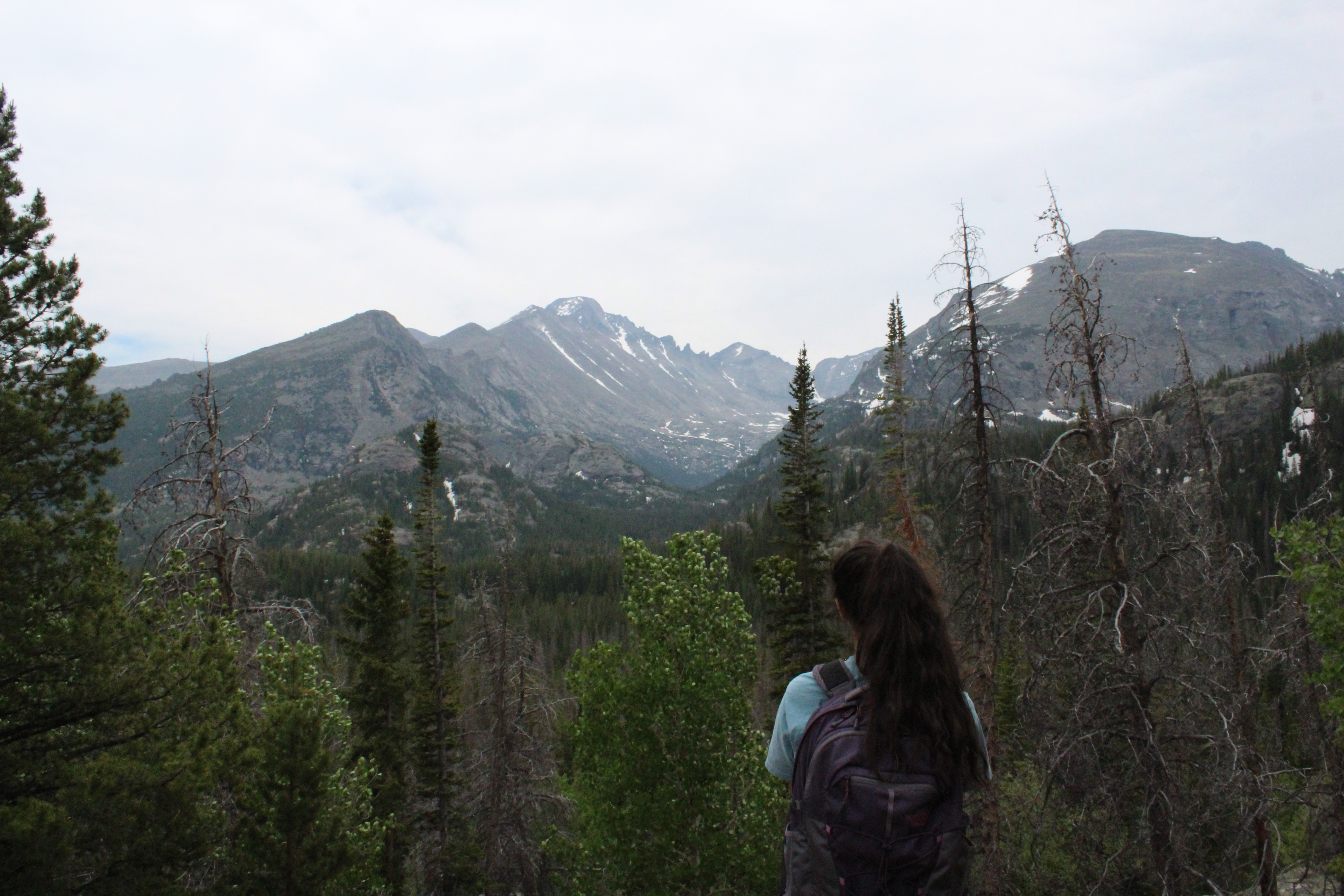 13E2171B-4AA7-4ADA-95B7-FB14CFF7467C